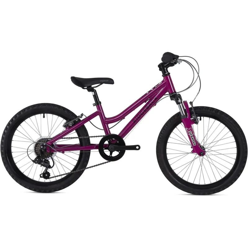 Ridgeback Harmony 20 inch Kids Bike in Purple