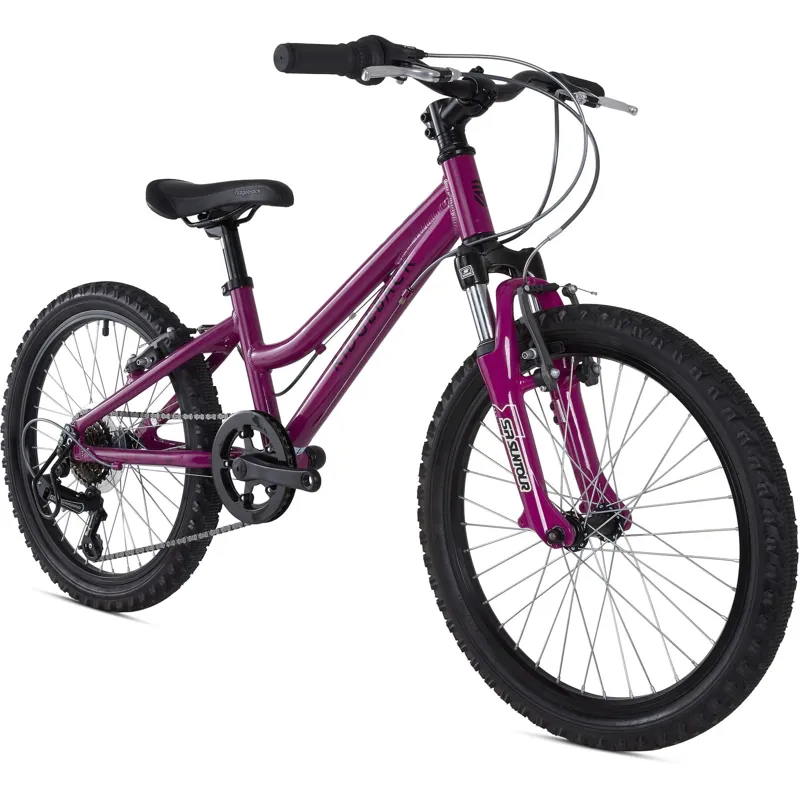 Ridgeback Harmony 20 inch Kids Bike in Purple-1