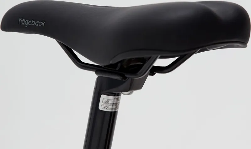 Ridgeback Destiny 24 inch Kids Bike in Silver-6