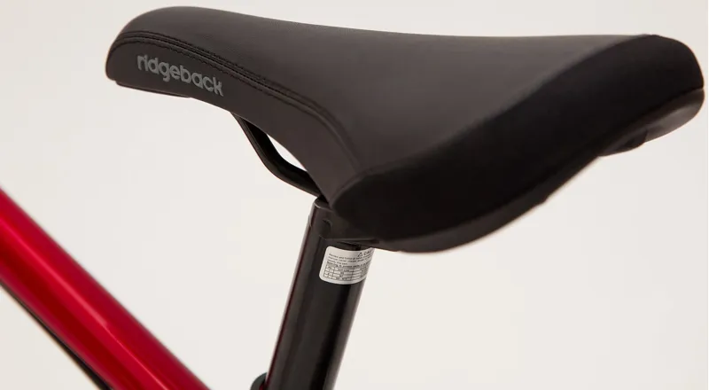 Ridgeback Dimension 20 inch Kids Bike in Red-6