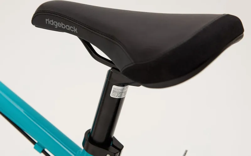 Ridgeback Dimension 20 inch Kids Bike in Teal-5