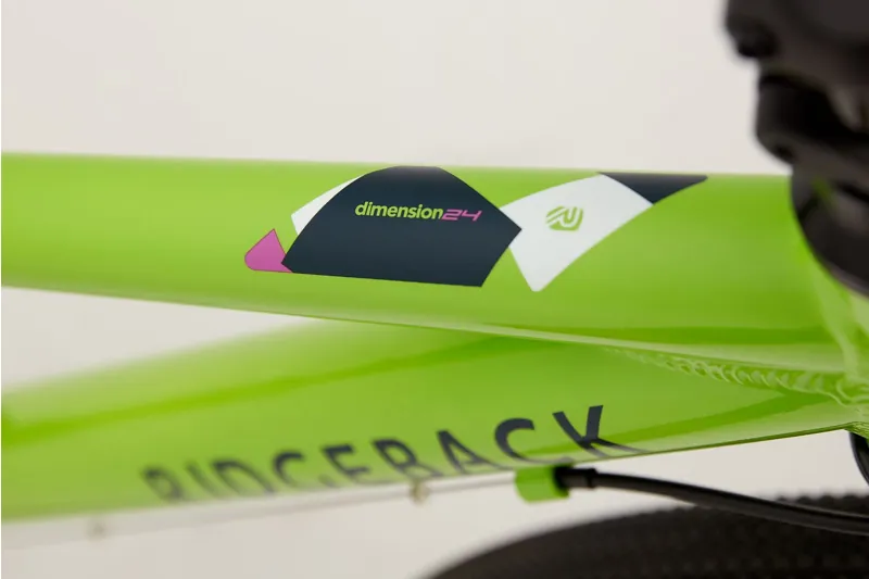 Ridgeback Dimension 24 inch Kids Bike in Green-4