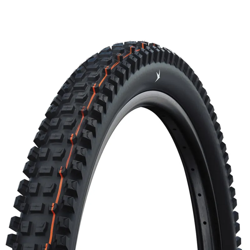 Schwalbe Albert Radial Gravity Pro Folding TLE Mountain Bike Tyre - 29 inch 