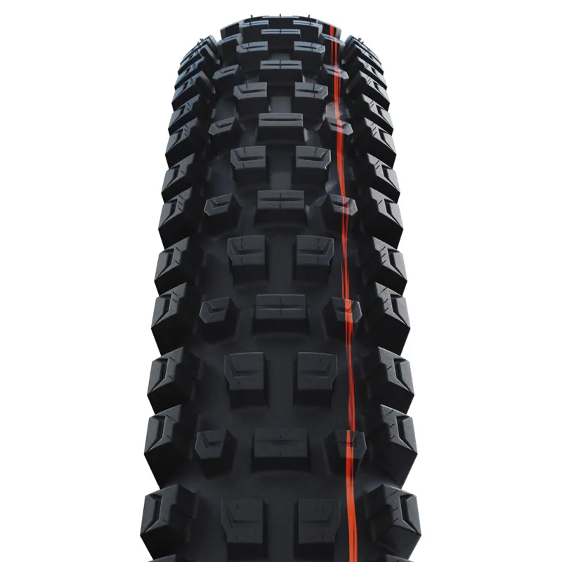 Schwalbe Albert Radial Gravity Pro Folding TLE Mountain Bike Tyre - 29 inch -1