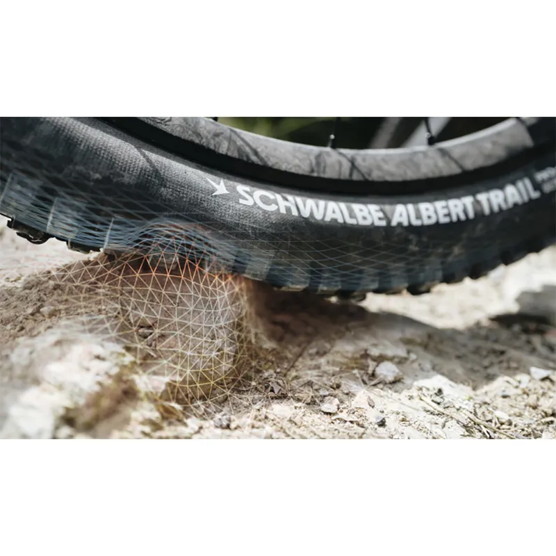 Schwalbe Albert Radial Gravity Pro Folding TLE Mountain Bike Tyre - 29 inch -2