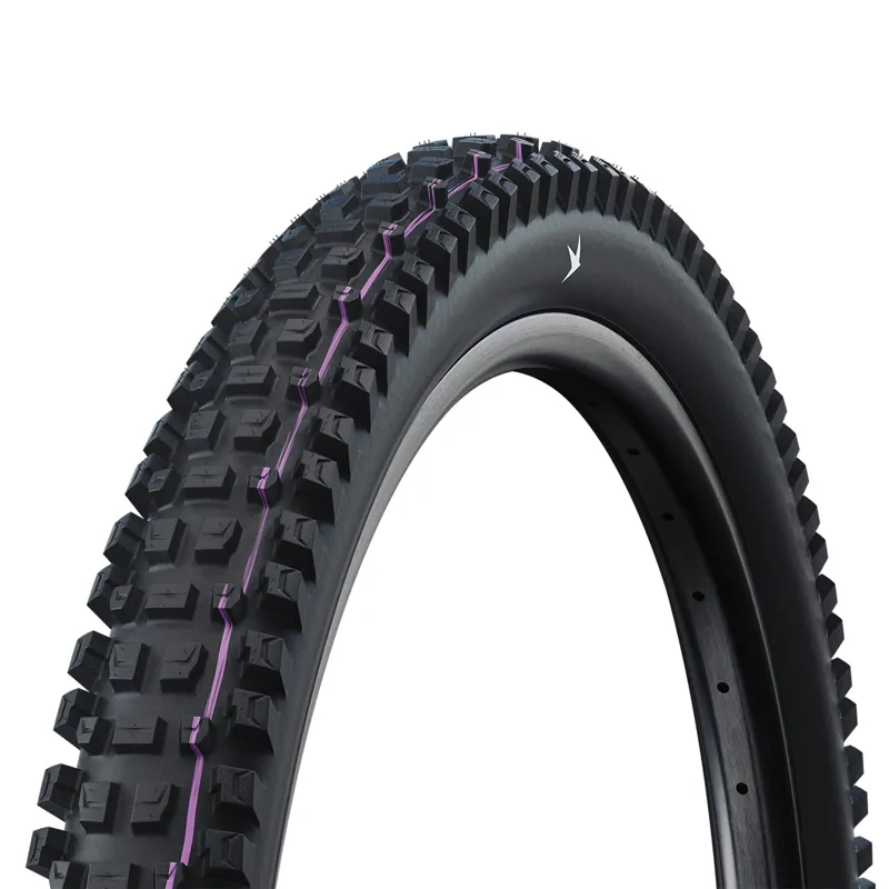 Schwalbe Albert Gravity Pro Radial Ultra Soft TLR Folding Mountain Bike Tyre