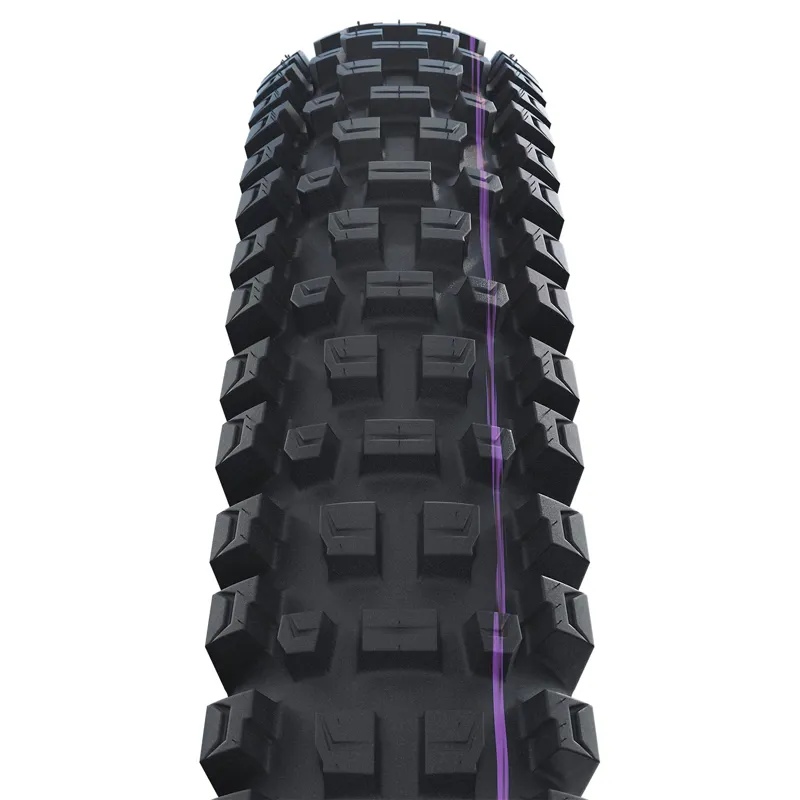 Schwalbe Albert Gravity Pro Radial Ultra Soft TLR Folding Mountain Bike Tyre-1