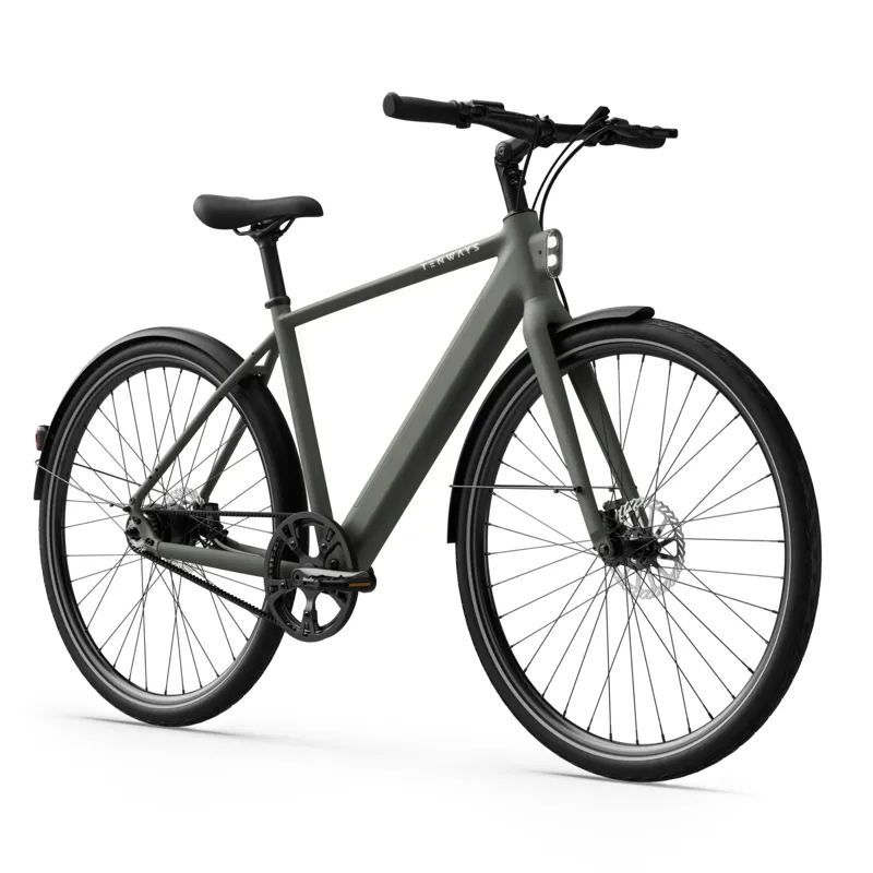 Tenways CGO600PRO 360Wh Electric Hybrid Bike in Willow Mist-1