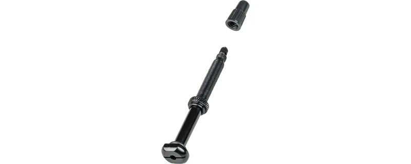 bontrager presta valve